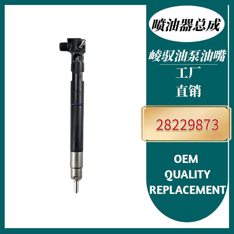 28229873 Injector Assembly 33800-4A710 is suitable for Hyundai and Kia, brand new quality