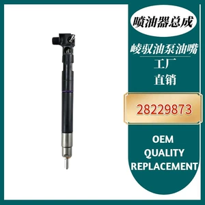 28229873 Injector Assembly 33800-4A710 is suitable for Hyundai and Kia, brand new quality