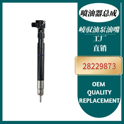 28229873 Injector Assembly 33800-4A710 is suitable for Hyundai and Kia, brand new quality (Oil pump, nozzle)