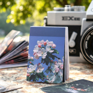 ������Ӱ�N������Ӱ֮��ϵ�Џ͹��L���쾰���~�b�ƴ�N�ز�60����