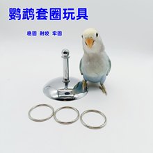 鹦鹉互动玩具训练用品虎皮牡丹开发智力玄风鹦鹉金属套圈圈批发