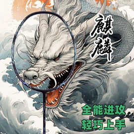 羽毛球拍;球拍手胶;羽毛球网球线