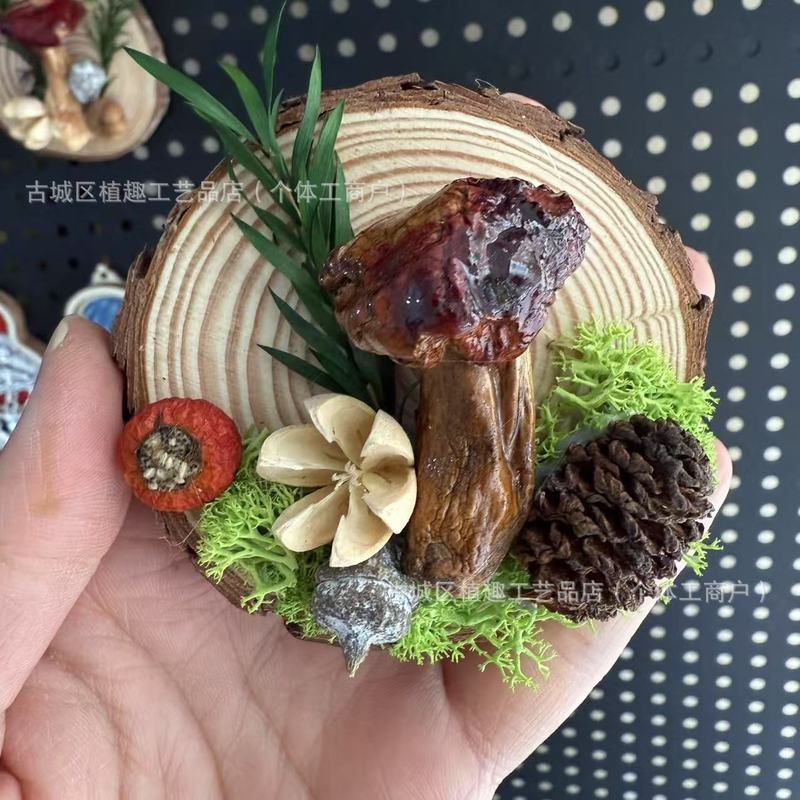 云南真蘑菇冰箱贴菌子真植物果实木头标本装饰手工创意工艺品滴胶|undefined