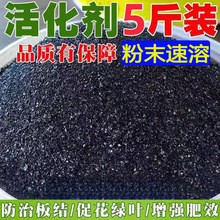 ����������l5����10���ˮ��ĩ�S����⛠I�BҺֲ���B����