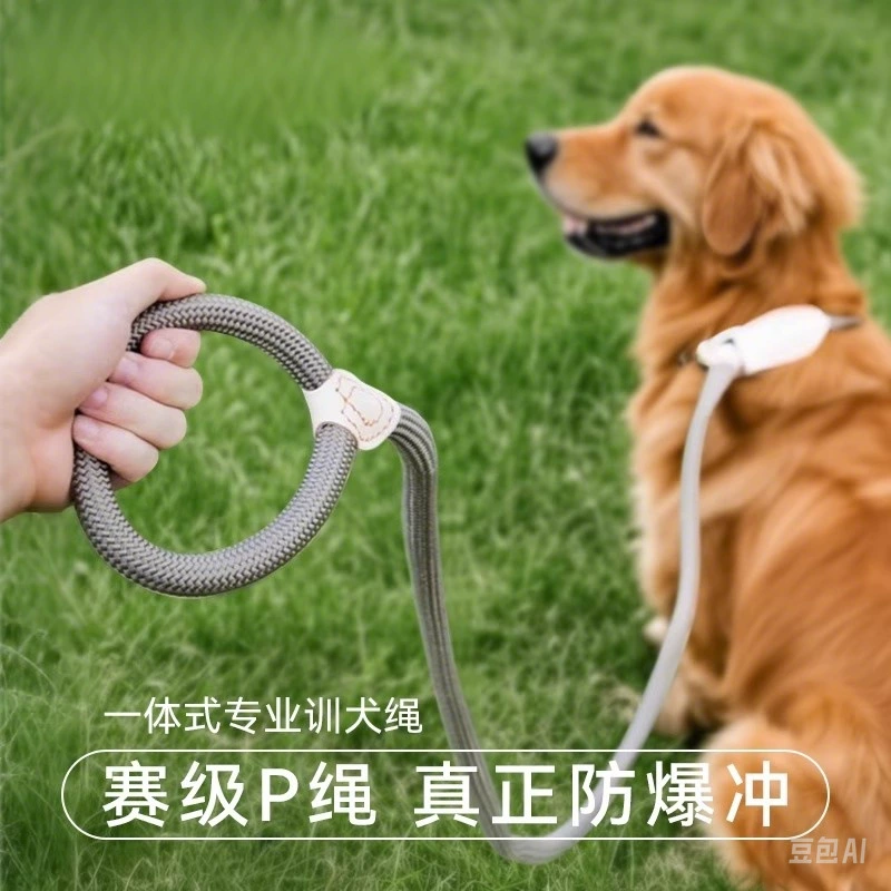 Собачья веревка Взрывозащищенная опорах P Цепь выгула собак