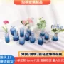 迷你桌面法式玻璃小花瓶