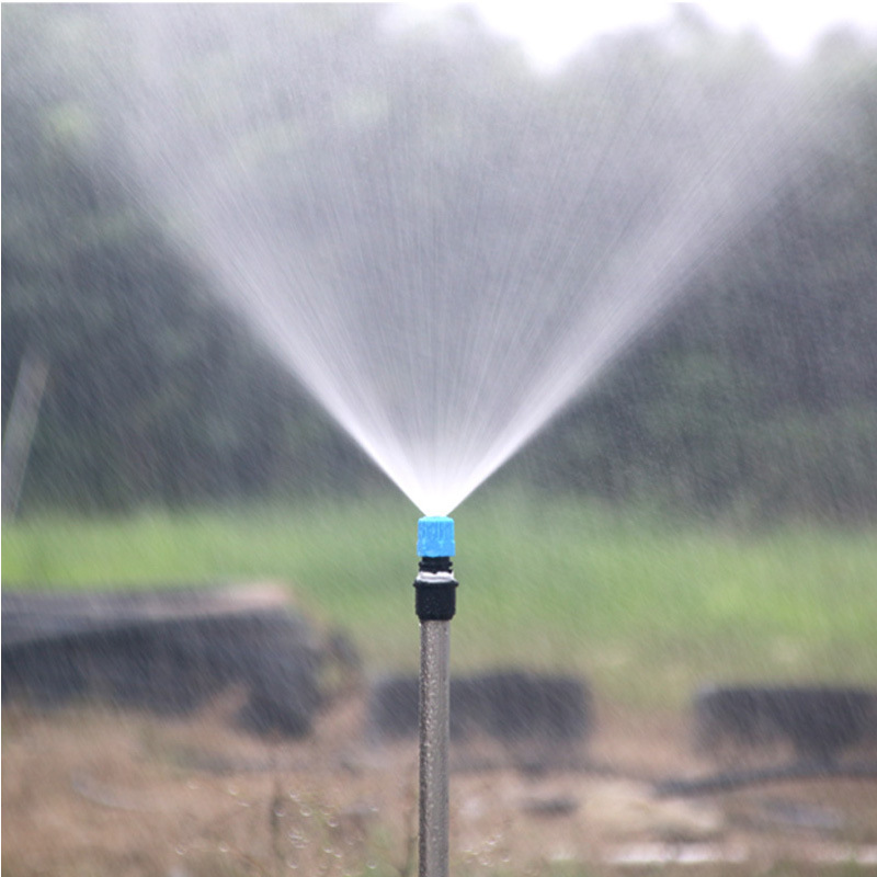 O1CN01AsmGrM1TtZGVCJ8y5_!!1003