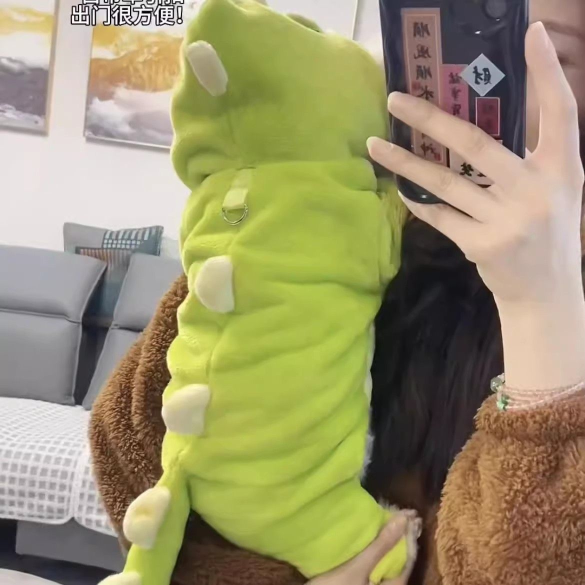 可爱猫咪衣服小恐龙变身装法兰绒保暖四脚衣成幼猫宠物狗秋冬加厚