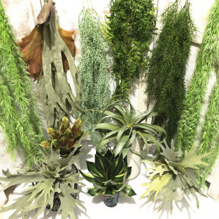 �������ɳĮ�Ꭷ�����ش�¹��ާ�~�՚�ݹ����쾰�b� ����Gֲ