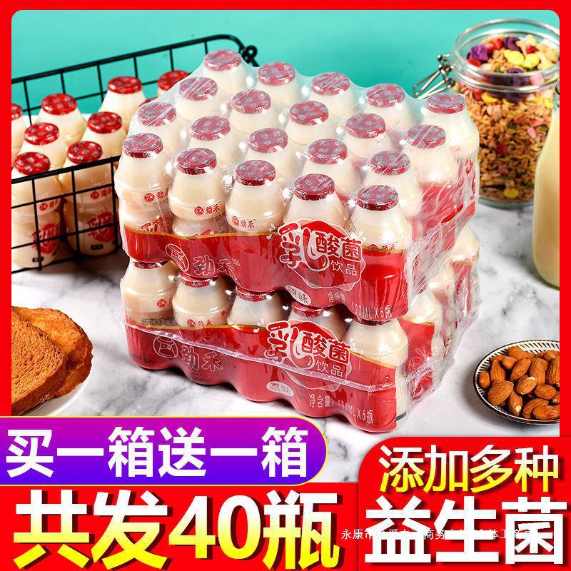 【当月新货】儿童乳酸酸奶牛奶饮品益生养胃学生老年批发整箱