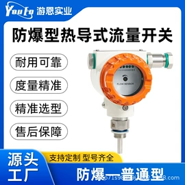 其他流量仪表;流量开关;压力开关