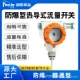 防爆定制水流流量开关