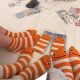 Summer Thin Socks for Women Cartoon Garden Eel Mid-Calf Socks Ins Style Cute Striped Women's Socks Manufacturer Wholesale