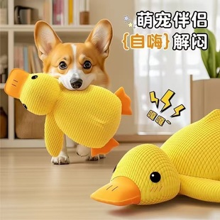 �羳������ߌ���؈����ҧ���˽␞�l��������ë�qС�S��ĥ����