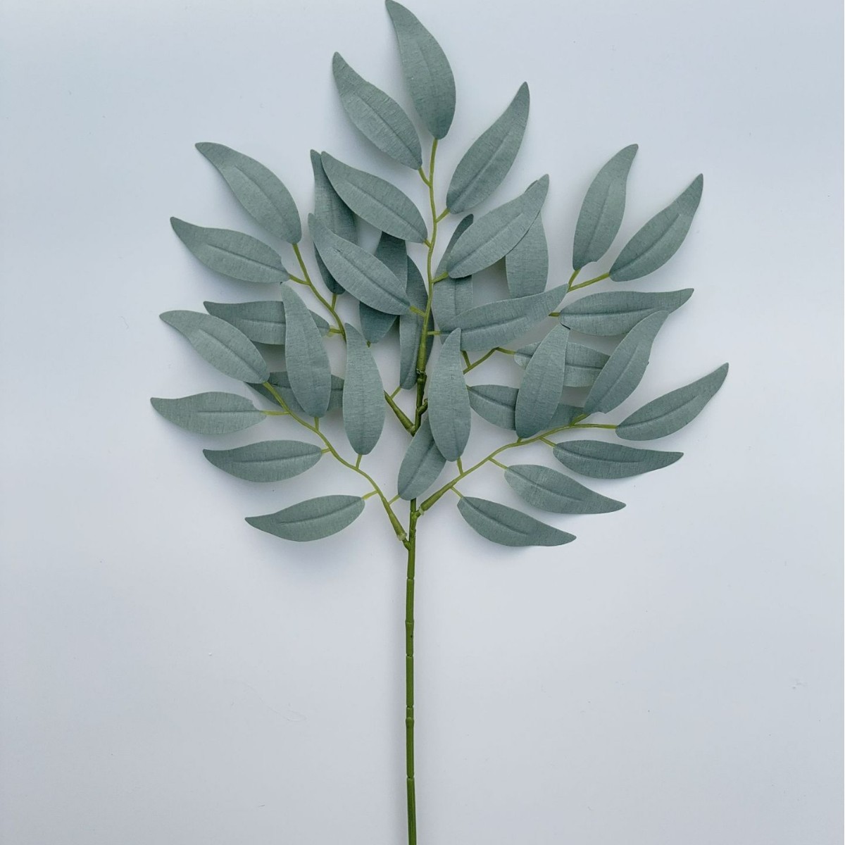 짙은 회색 다섯 갈래의 일곱 잎 버드나무 가지