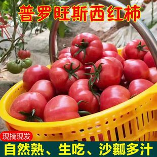 ������_��˹ɳȿ���t����Ȼ�����r�������ꖴ�ެ���ЋDˮ�����l