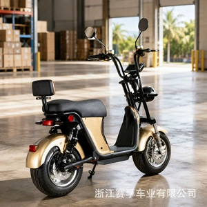 Directly supplied from Brazil, two-seater Harley-style Citycoco wide-tire electric vehicle for adults, electric bicycle, electric motorcycle, battery-powered vehicle