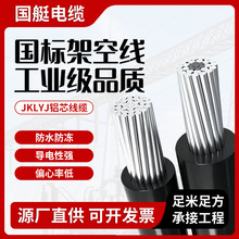 铝芯电缆线架空JKLYJ/JKLGYJ国标1KV/10KV单芯绝缘25 70平方电线