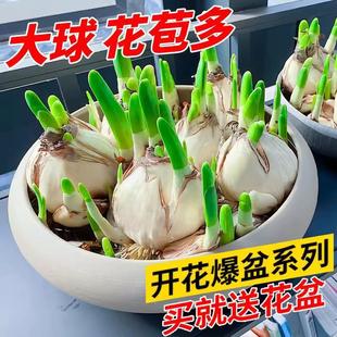 ˮ�ɻ��N������ˮ���҃��ļ�ˮ�B������ˮ��ֲ���������ﶬ���_��