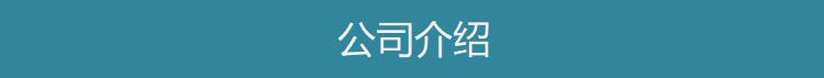 公司介绍