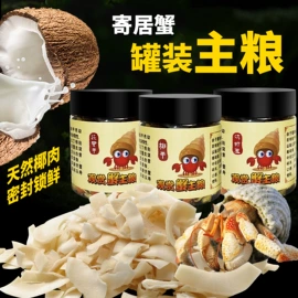 水族箱;鱼缸;潜水泵