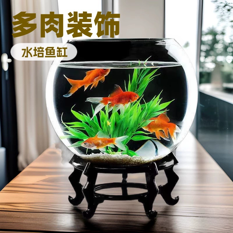 Оптовая круглая стеклянная гидропонная ваза для аквариума увеличенный утолщенный аквариум мясистый цветоводство 50 см декоративные украшения