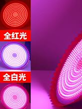 �b���{���{ɫ���r���i�����ʳ���u�│������ʳ��ˮ��������