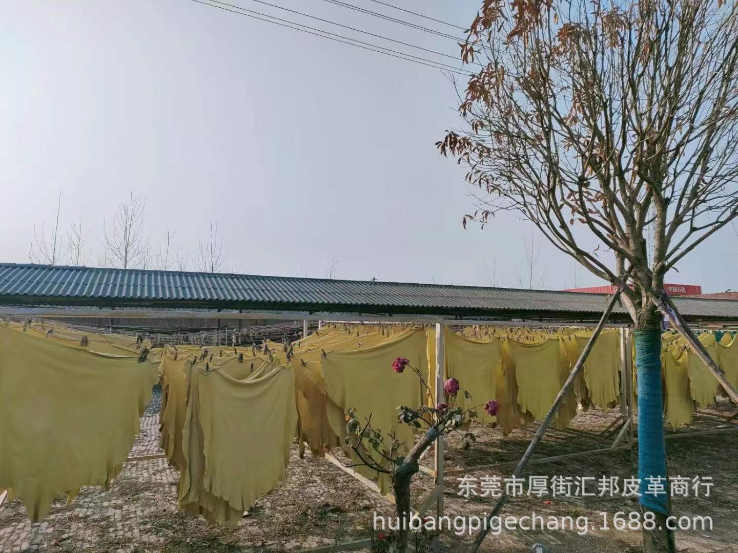 微信图片_20220105115636.jpg