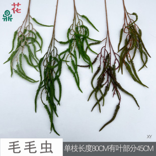 ëë�x ���ë  �Y�þƵ��b�픾Gֲ ����d��̨���Ų��÷��滨