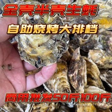 100��50�����r�r�����ȫ���뚤����С̖��̖��̖ĵϠ�V�|�����w