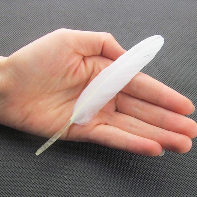 거위 직선 칼 약 50개