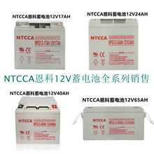 NTCCA恩科膠體蓄電池NPG12V100AH65A40A38A太陽能UPS電源直流屏用