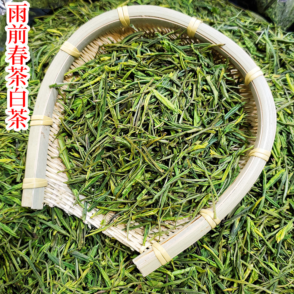 春茶中低价位凤形白茶茶店进货走量2025新茶绿茶散装茶叶批发