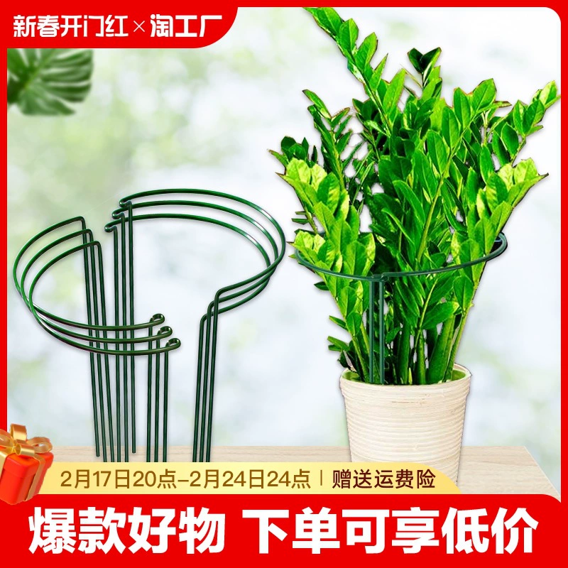 Полукруглая рама из виноградной лозы Полукруглая рама для цветов