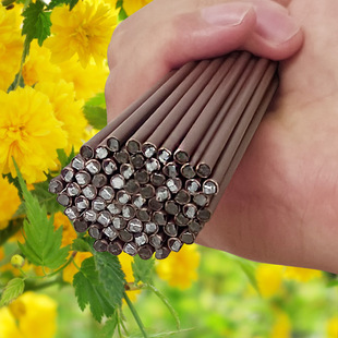 Flower Shape Wire Iron Bar Money Tree Phalaenopsis Climbing Vine Flower Bracket Plant Fixed Support Rod Vine Arch Shape