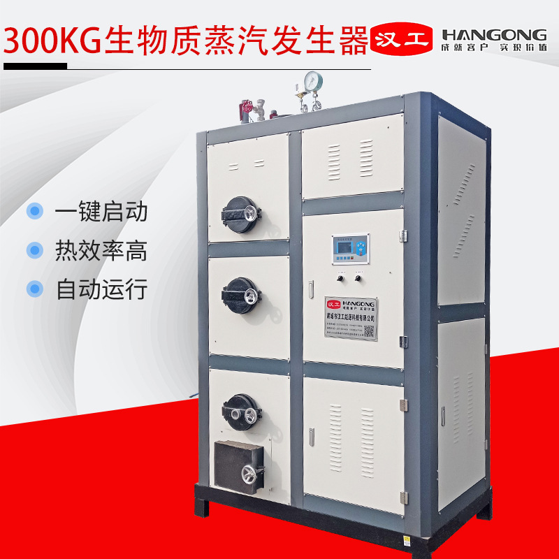 生物质蒸汽发生器 颗粒燃料蒸汽锅炉 燃气工业热水蒸汽设备厂家