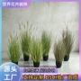 植物盆栽人造仿真洋葱草