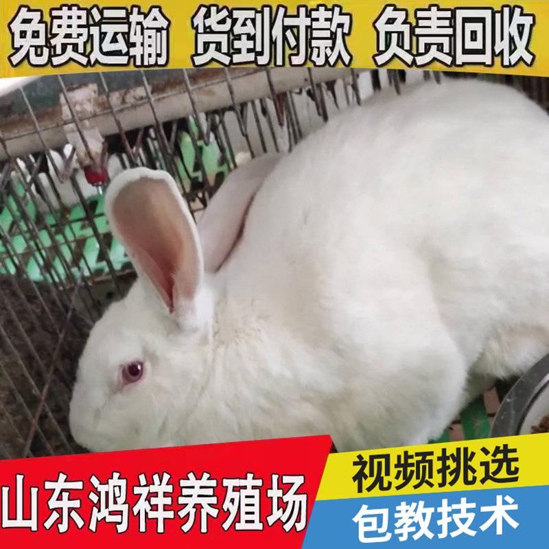 conew_u=2330749914,1853003085&