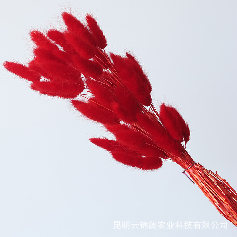 Un bouquet de 60 rouge foncé / Bouquet