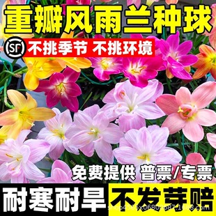 �ذ��L���m�N��������������ѩ�m��������҃��[�m���m�ļ��_��