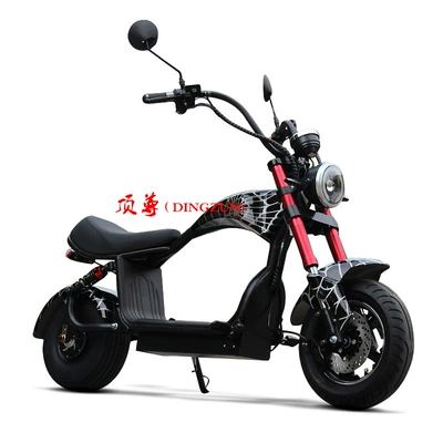 Dingzun Exports Little Prince Elektrikli motosikletlər