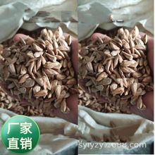 lѩɿѩɌֲ Gľ Gɘ   ѩɷN ѩ