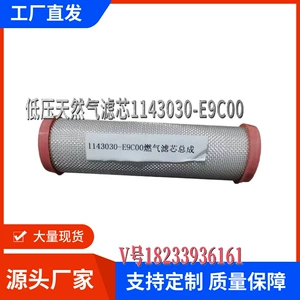 Low VoltagE Natural Gas FiltEr DongfEng Tianlong 1143030 -E9C00