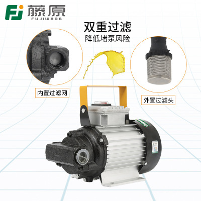 Fujiwara 220V Electric Oil well pump flow Self priming pump Oil Pump Hydraulic oil Gear Oil Tanker