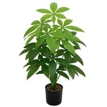 仿真绿植发财树招财叶假树手感胶布叶盆栽客厅家居装饰植物墙跨境