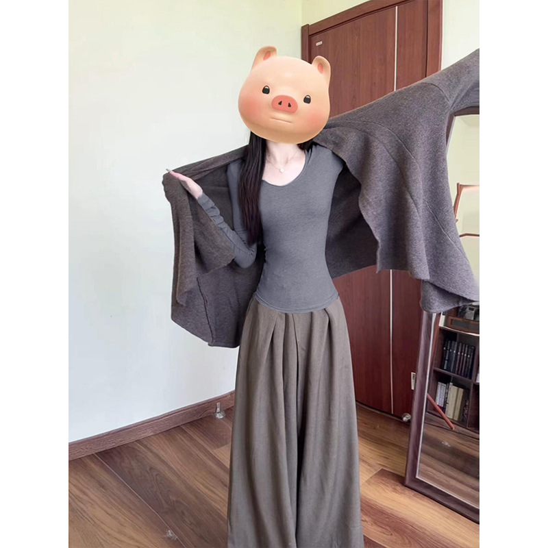 灰色修身长袖t恤女2025新款V领上衣秋冬内搭打底衫早秋天韩系穿搭|undefined