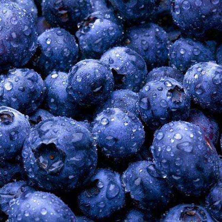 黑加仑（黑醋栗）香精，草莓（士多啤梨）香精，果香香精