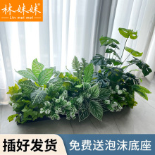 ���滨������ֲ����ֲ��ڼ����۹걳Ҷ����������������쾰װ��