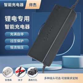 12V24V锂电池充电器储能电源大功率充电器磷酸铁锂电源厂家电动车