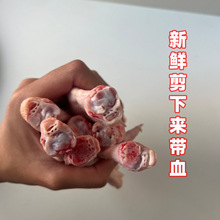 r̖צl_üһҲlrԴ^Sֱ